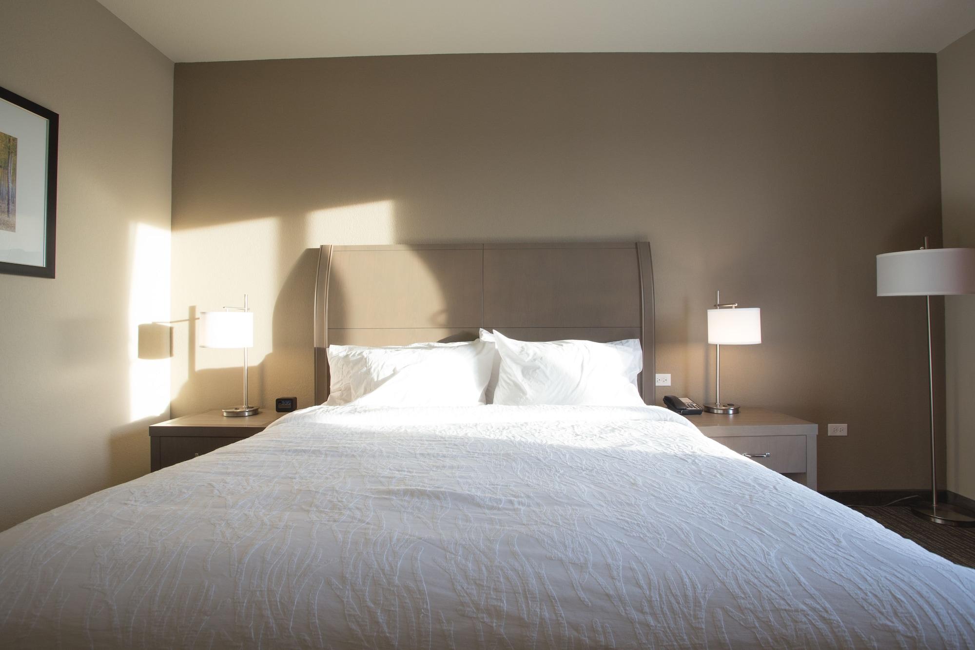 Hilton Garden Inn Bolingbrook I-55 Buitenkant foto